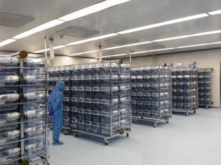 動物房凈化工程2